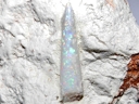 Opal Belemnite