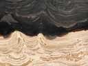 Columnacollenia